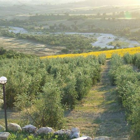 Bio Agriturismo Il Torrione Saturnia Exterior foto